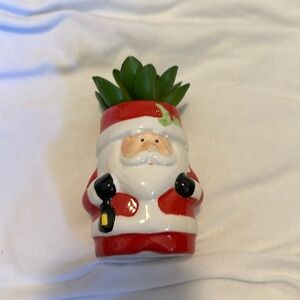 Small Santa Succulent